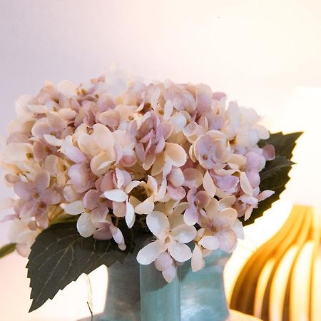 טיראדנטס Pouso Primavera מראה חיצוני תמונה