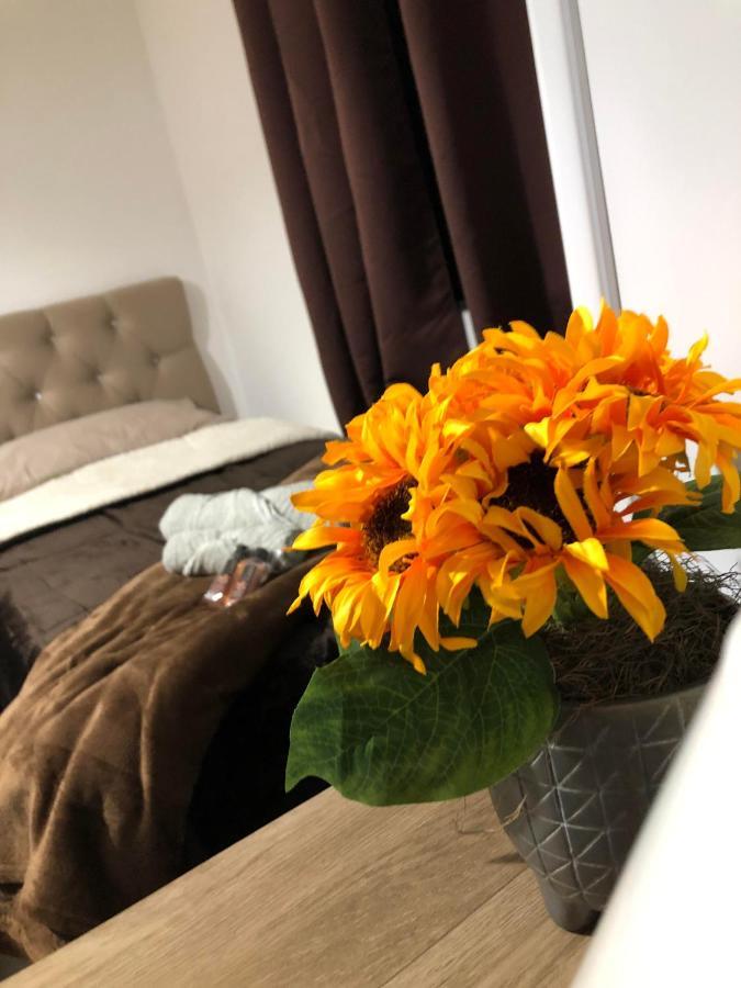 טיראדנטס Pouso Primavera מראה חיצוני תמונה